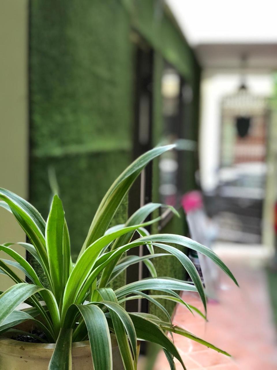 Ventana House Haiphong Exterior foto